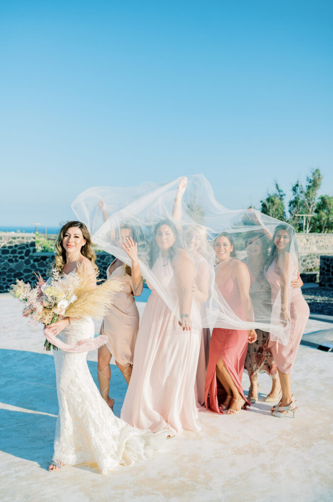 Bridesmaids Wedding Photo