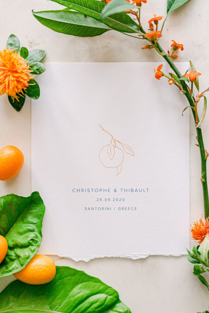 Cristophethibault 6